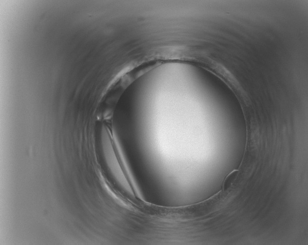 X0000080130530200612221859