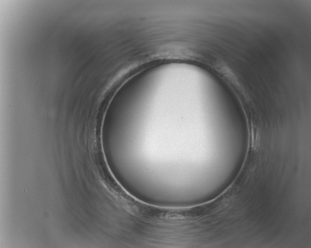 X0000080130531200612221859