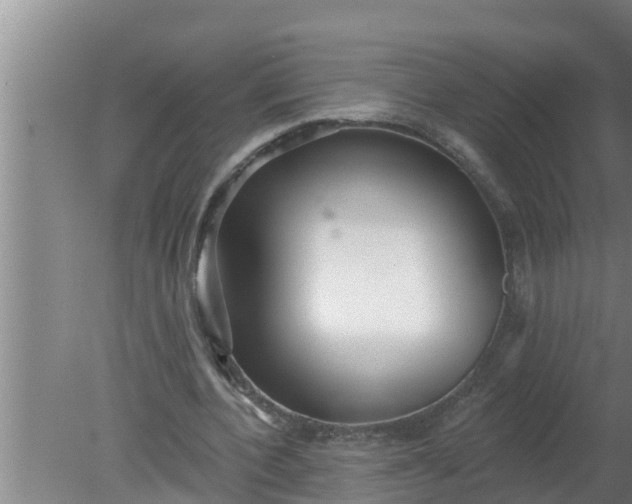 X0000080130532200612221859