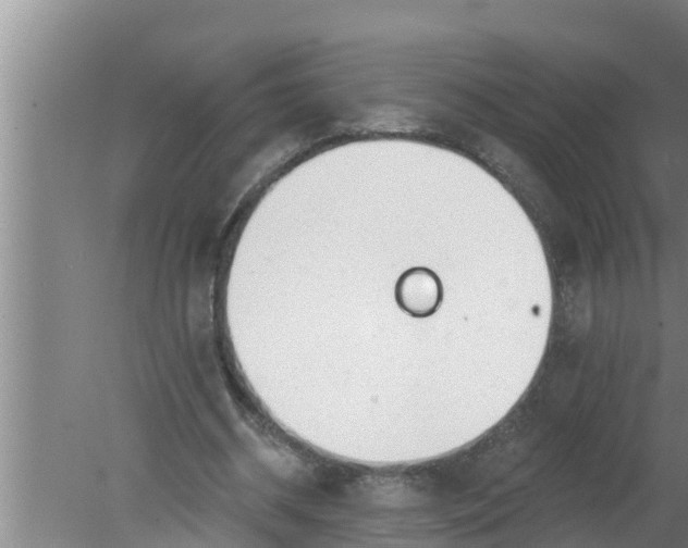 X0000080130534200612221859