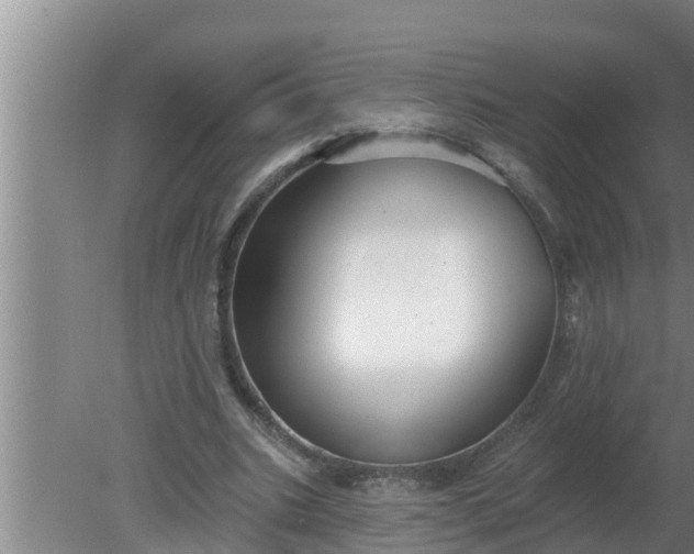 X0000080130535200612221900