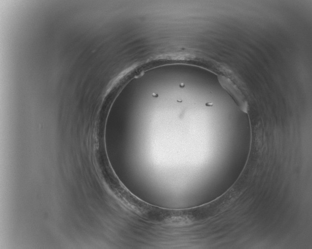 X0000080130536200612221900