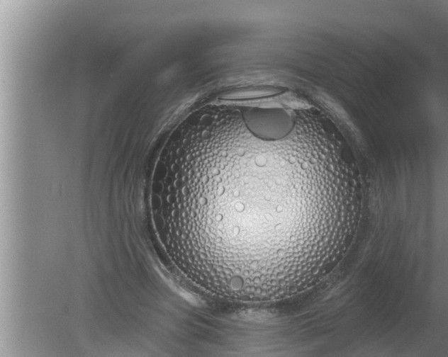 X0000080130537200612221900