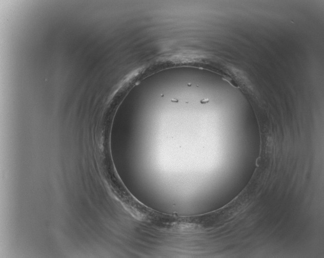 X0000080130539200612221900