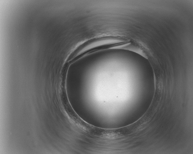 X0000080130540200612221900