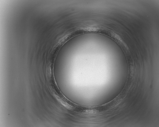 X0000080130541200612221900