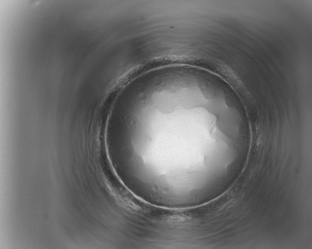 X0000080130542200612221900