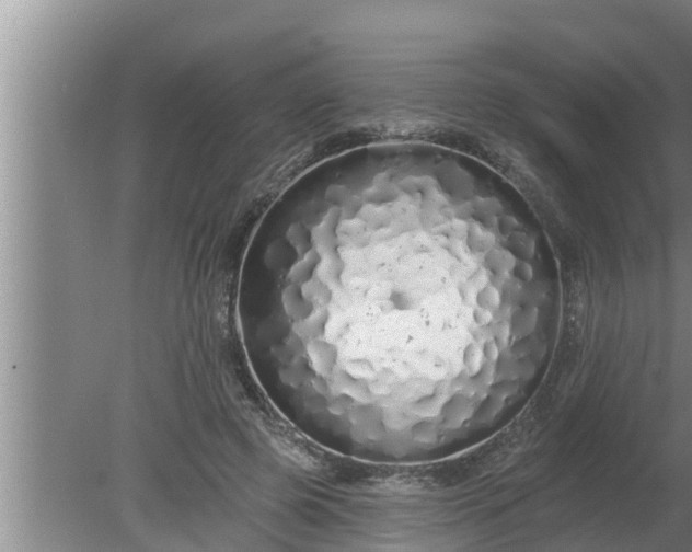 X0000080130545200612221900