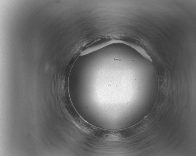 X0000080130548200612221900