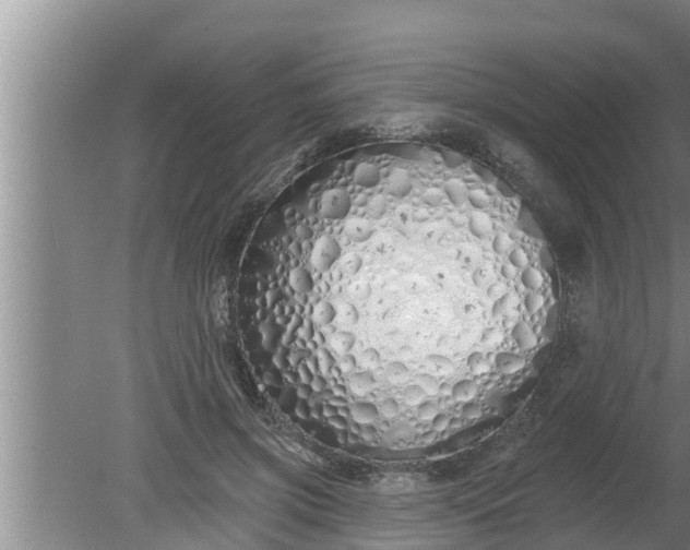 X0000080130549200612221900