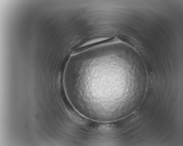 X0000080130550200612221900