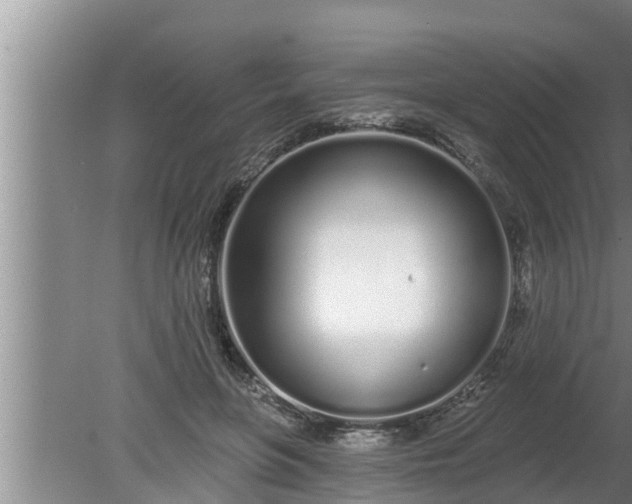 X0000080130551200612221900