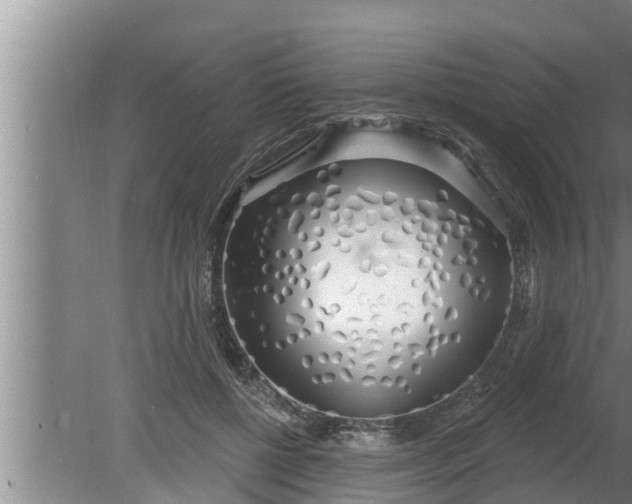 X0000080130552200612221900