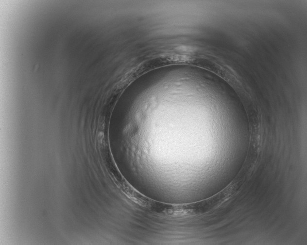 X0000080130553200612221900