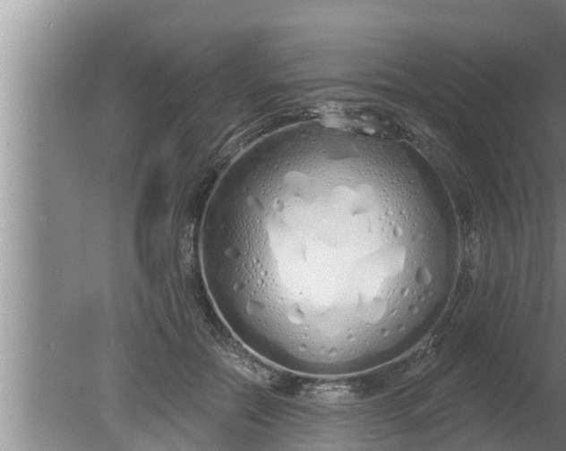 X0000080130554200612221900