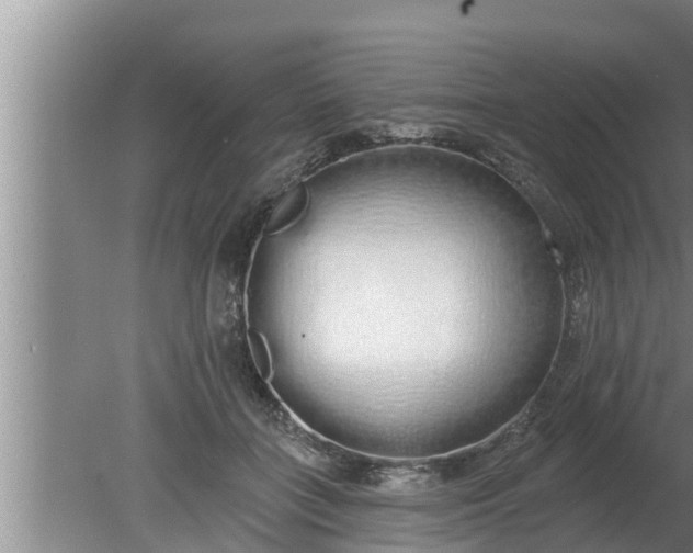 X0000080130555200612221900