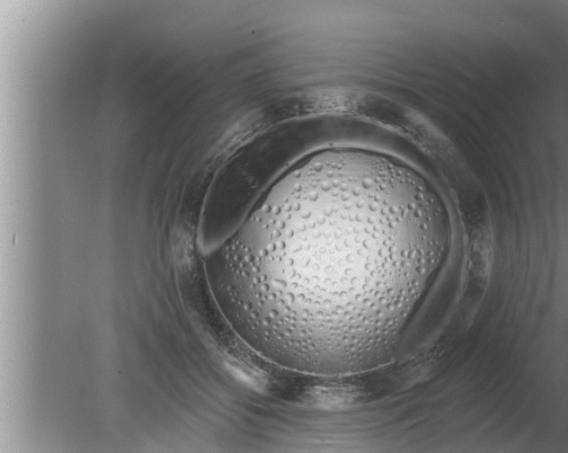 X0000080130556200612221900