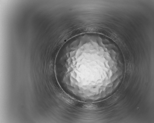 X0000080130557200612221900