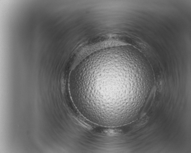 X0000080130558200612221900