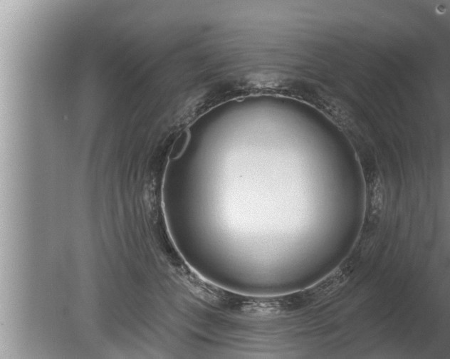 X0000080130559200612221900