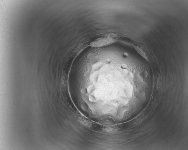 X0000080130561200612221900