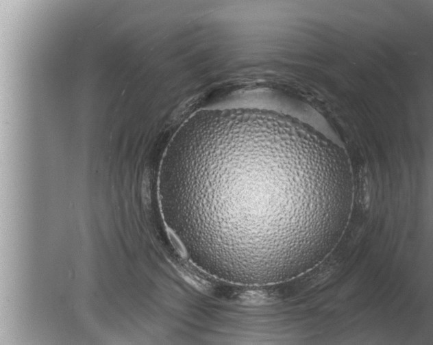 X0000080130562200612221900