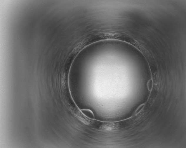 X0000080130563200612221900