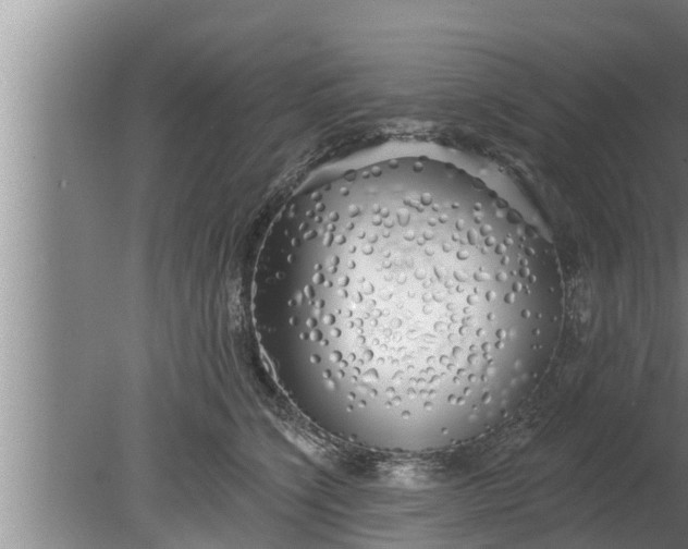 X0000080130564200612221900