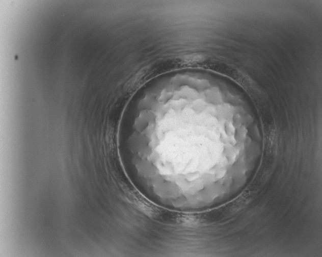 X0000080130565200612221900