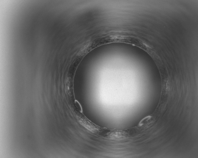 X0000080130567200612221900