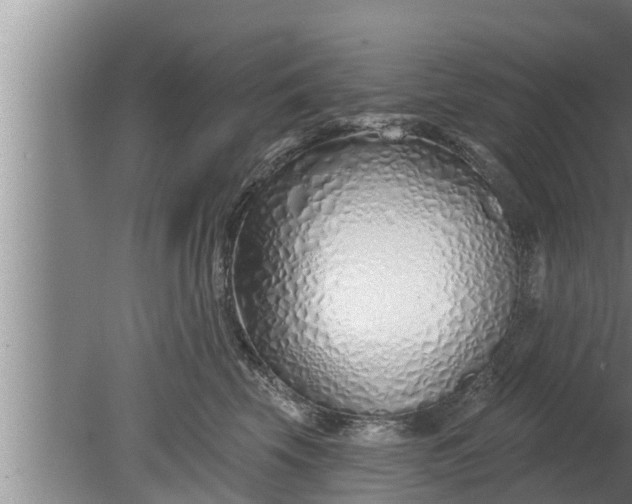 X0000080130569200612221900