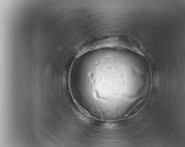 X0000080130570200612221900