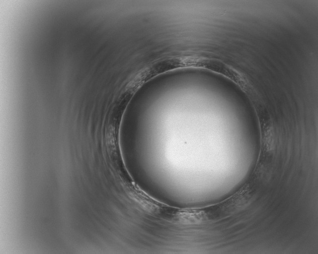 X0000080130571200612221900