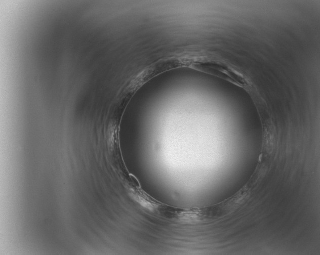 X0000080130574200612221900