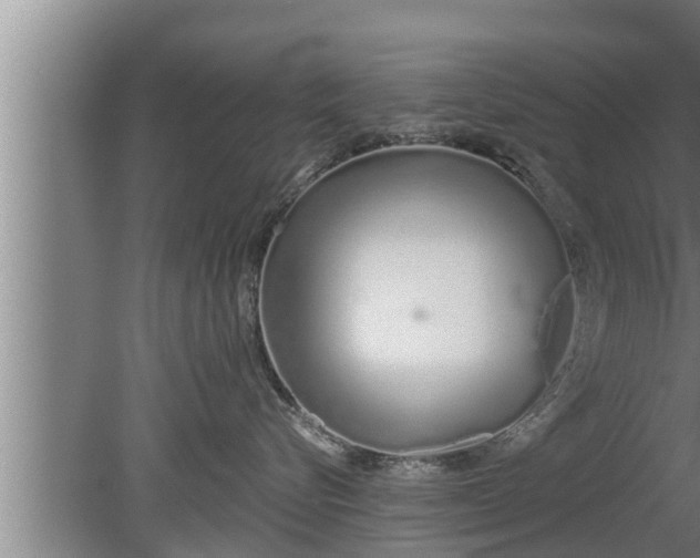 X0000080130576200612221900