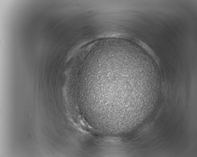 X0000080130577200612221859