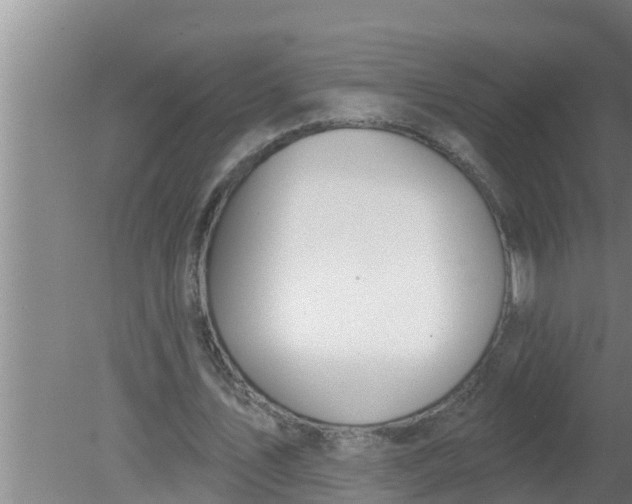 X0000080130579200612221859