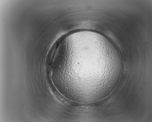 X0000080130580200612221859