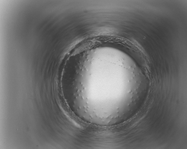 X0000080130581200612221859