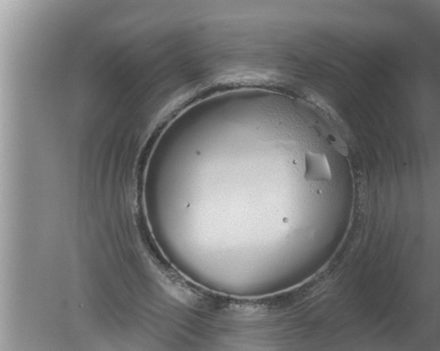 X0000080130582200612221859