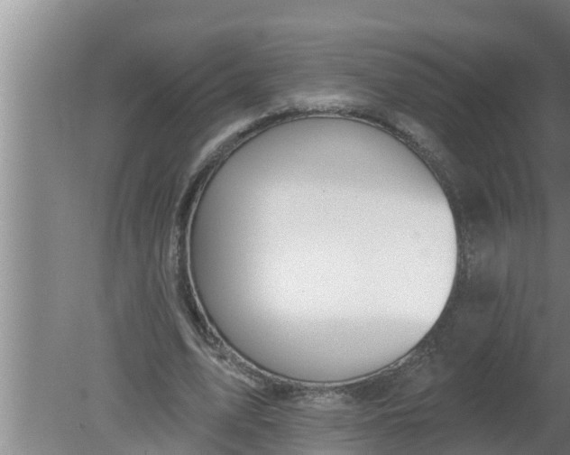 X0000080130583200612221859