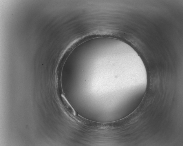 X0000080130584200612221859