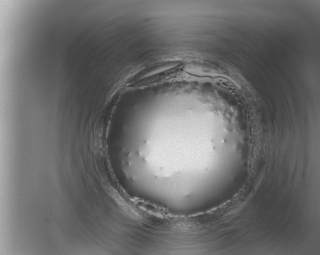 X0000080130585200612221859