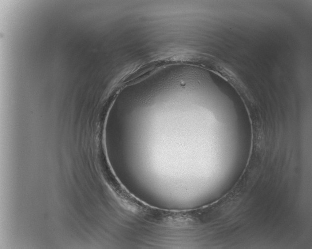 X0000080130586200612221859