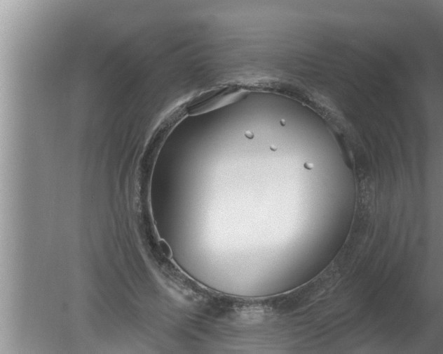 X0000080130587200612221859