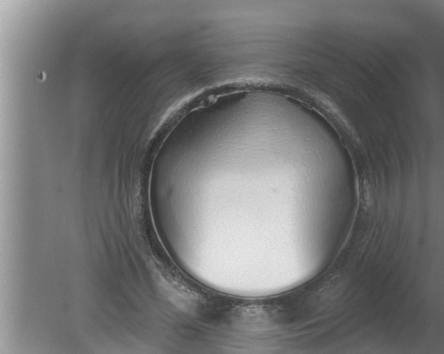 X0000080130588200612221859