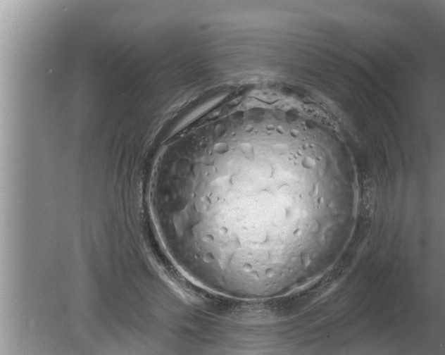 X0000080130589200612221859