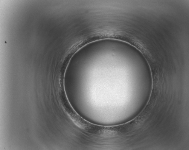 X0000080130590200612221859