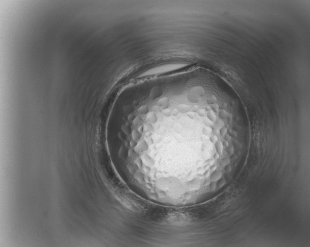 X0000080130591200612221859