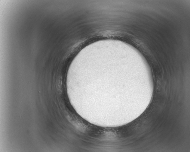 X0000080130592200612221859